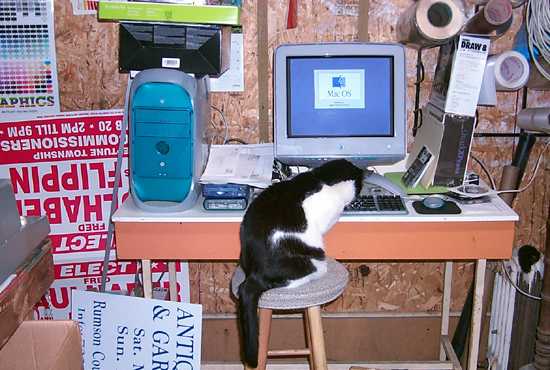 Squeegee the shop mascot plays with PowerMac G3. File name = cat001.jpg (267159 bytes)